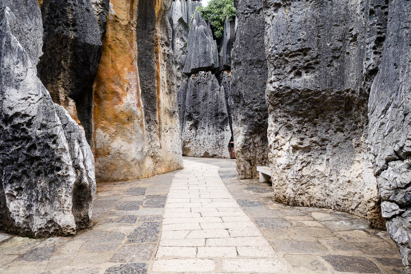 china-shilin-stone-forest-33