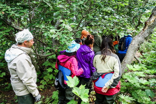 kamchatka-walk-with-bears-25